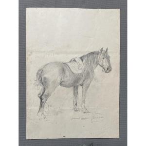 Jument bretonne, dessin, XIXe