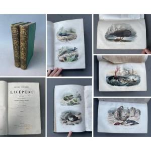 Premiere-Image-1665943