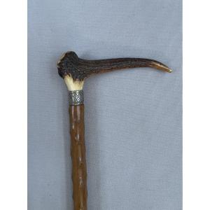 Canne à pommeau en andouiller de cerf