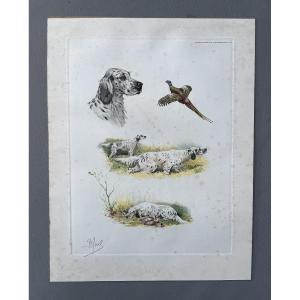 Riab, chiens de chasse, gravure