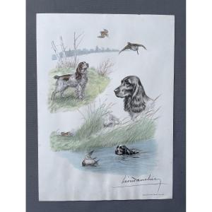 Léon Danchin, chiens de chasse, estampe