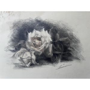 Roses, Drawing, Signature To Be Identified