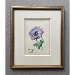 Blanche Odin, anémone, aquarelle