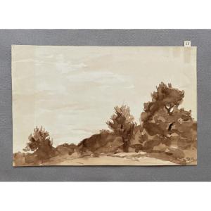 Marie-Louise Lustremant, paysage arboré, lavis d'encre brune