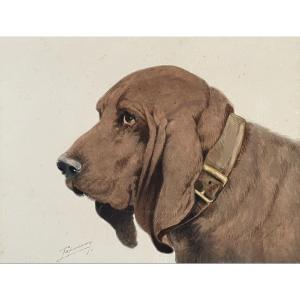 Hunting Dog, Watercolor, Signature To Be Identified