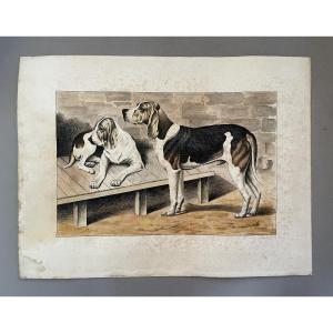 Chiens De Chasse, Watercolor Signed And Dated 1940