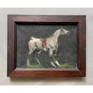 Cheval, huile sur toile