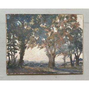 Paysage arboré, huile sur toile