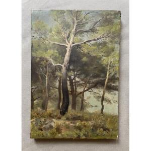 Pins, Oil On Canvas, Late 19th Or Early 20th Century