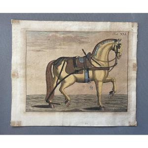 Cheval harnaché, gravure, XVIIIe