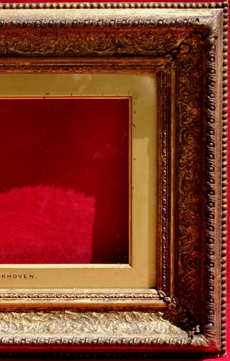 Pair Of Small Frames 1880 - 2m --photo-4