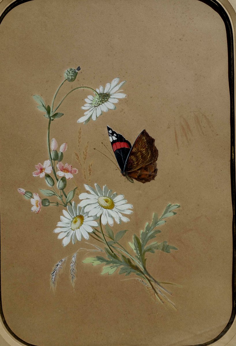 Rosalie Christen (1809–1880) - Butterfly And Daisies, 1860 --photo-2