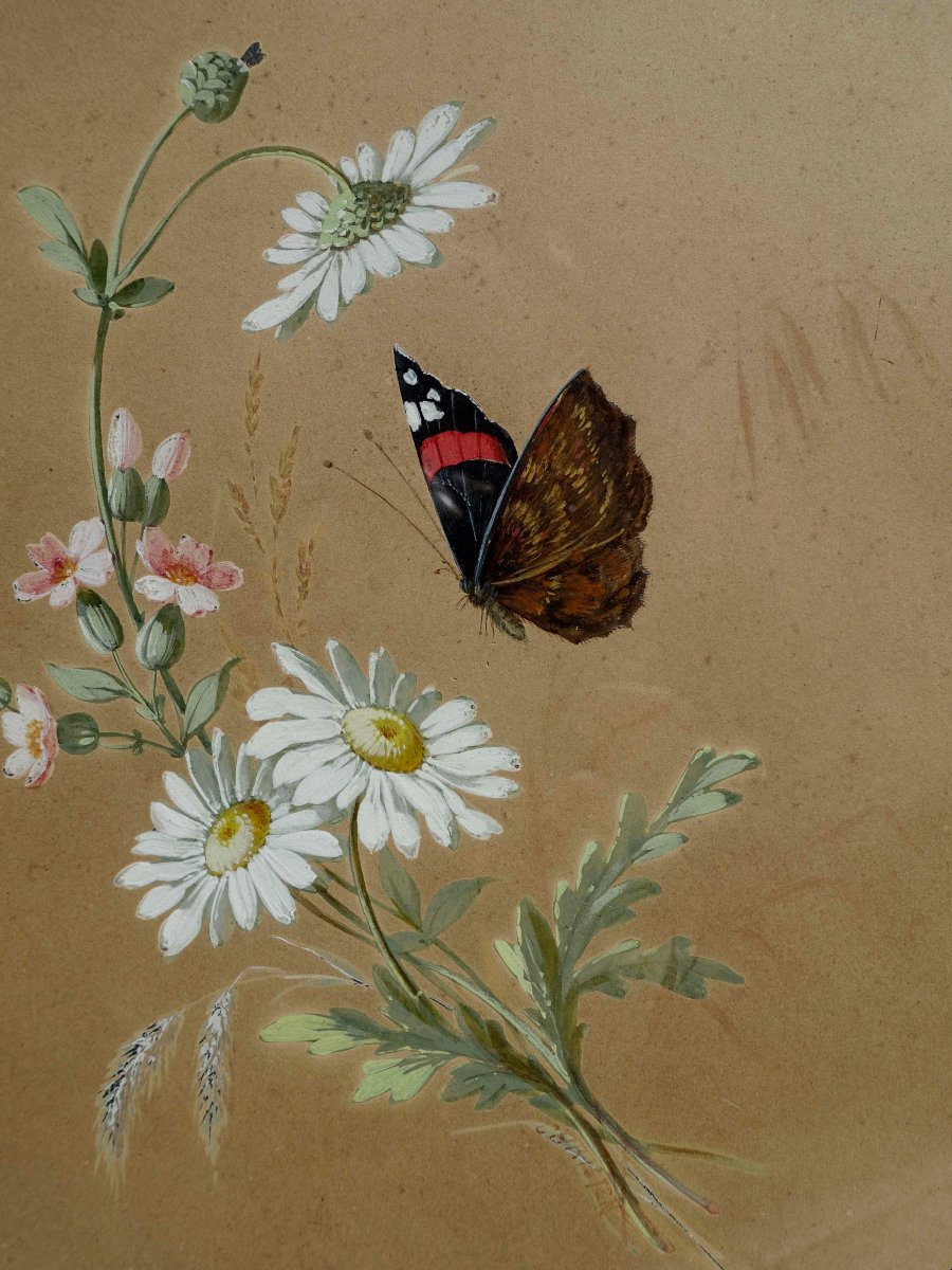 Rosalie Christen (1809–1880) - Butterfly And Daisies, 1860 --photo-3