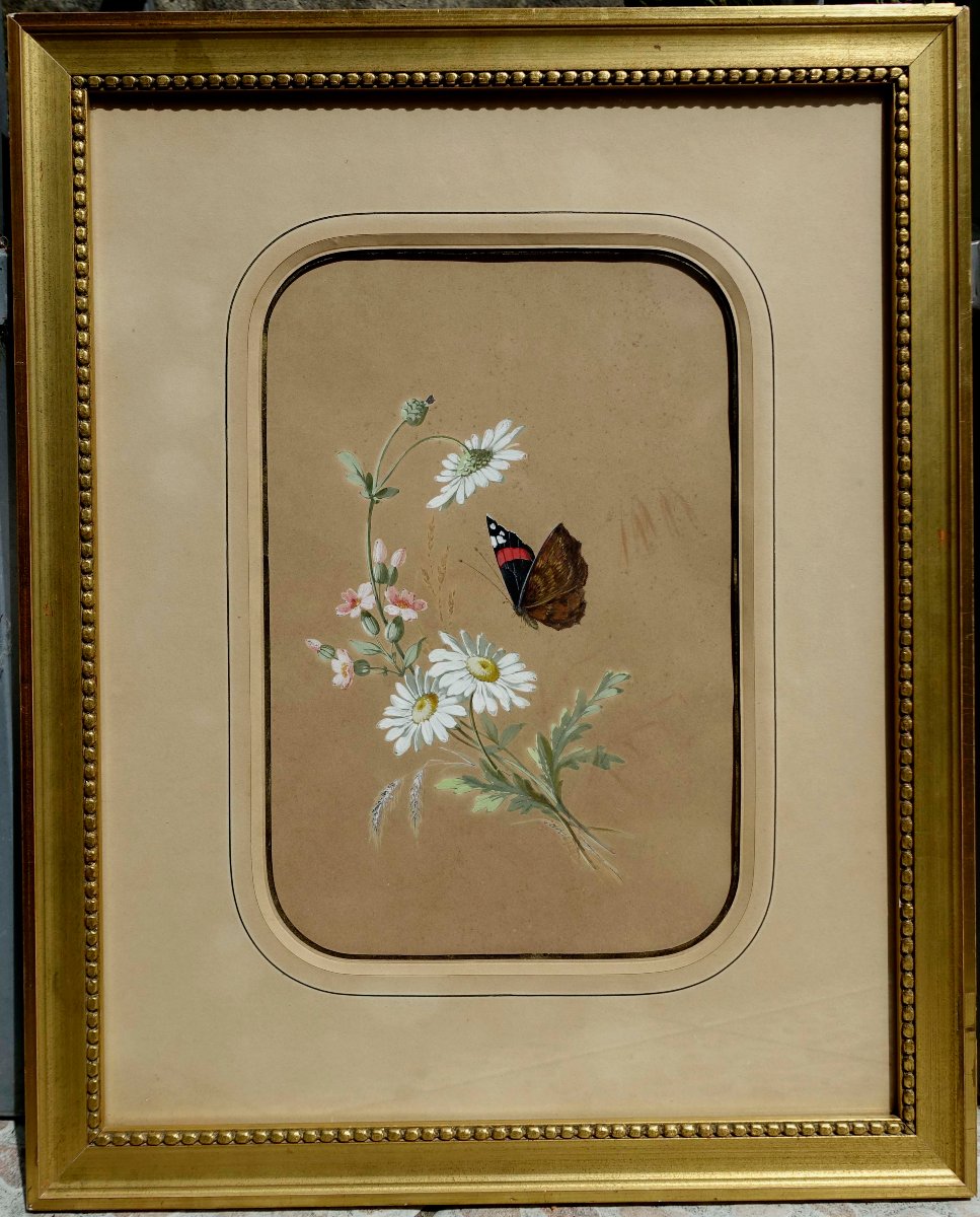 Rosalie Christen (1809–1880) - Butterfly And Daisies, 1860 -