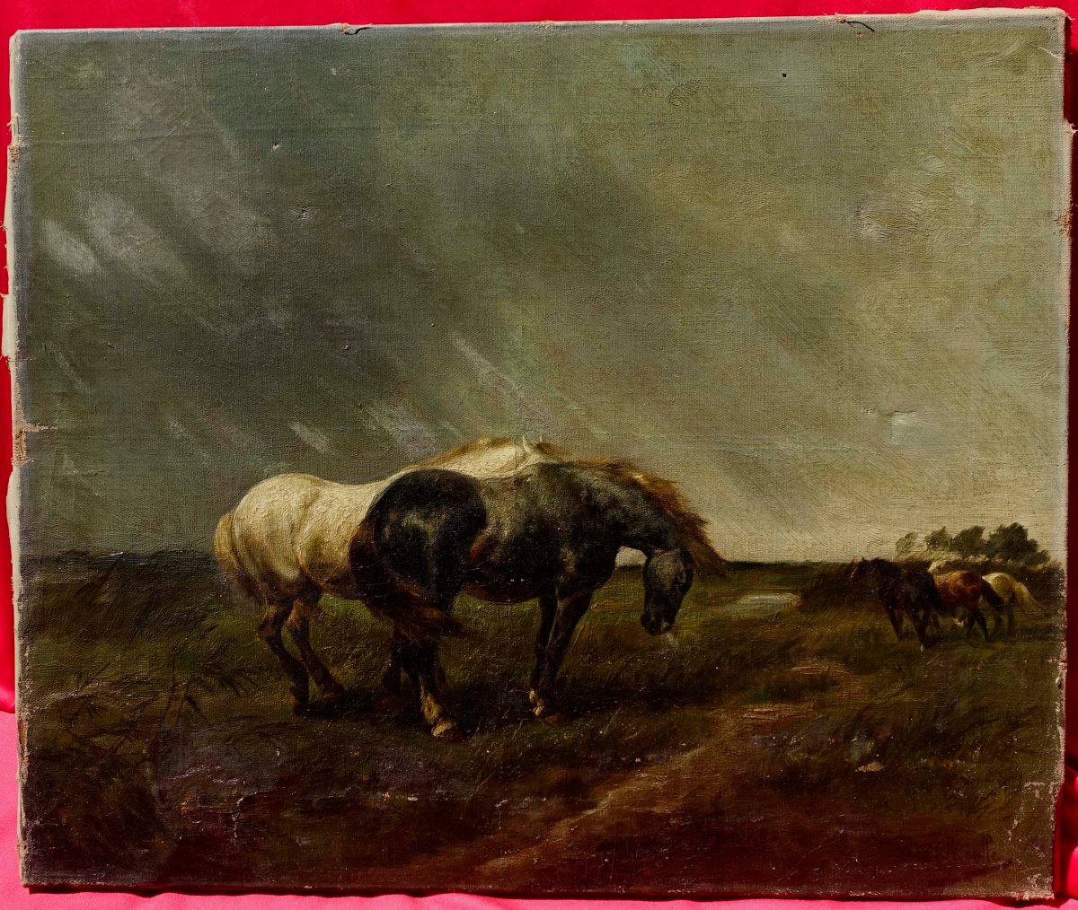 Gustave Colsoulle (1843–1895) - Horses In A Meadow, 1870 --photo-2