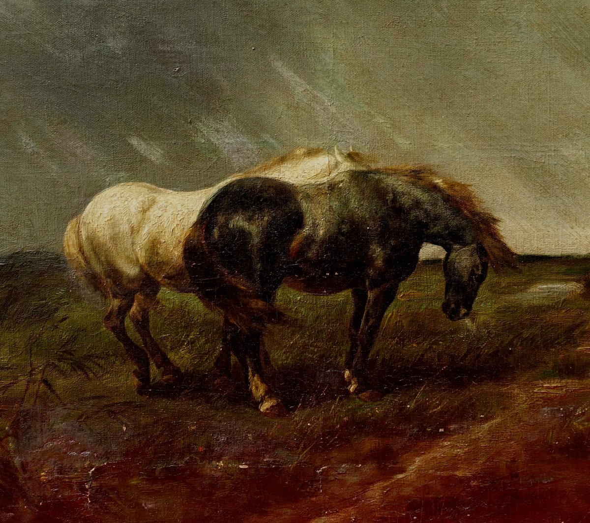 Gustave Colsoulle (1843–1895) - Horses In A Meadow, 1870 --photo-4