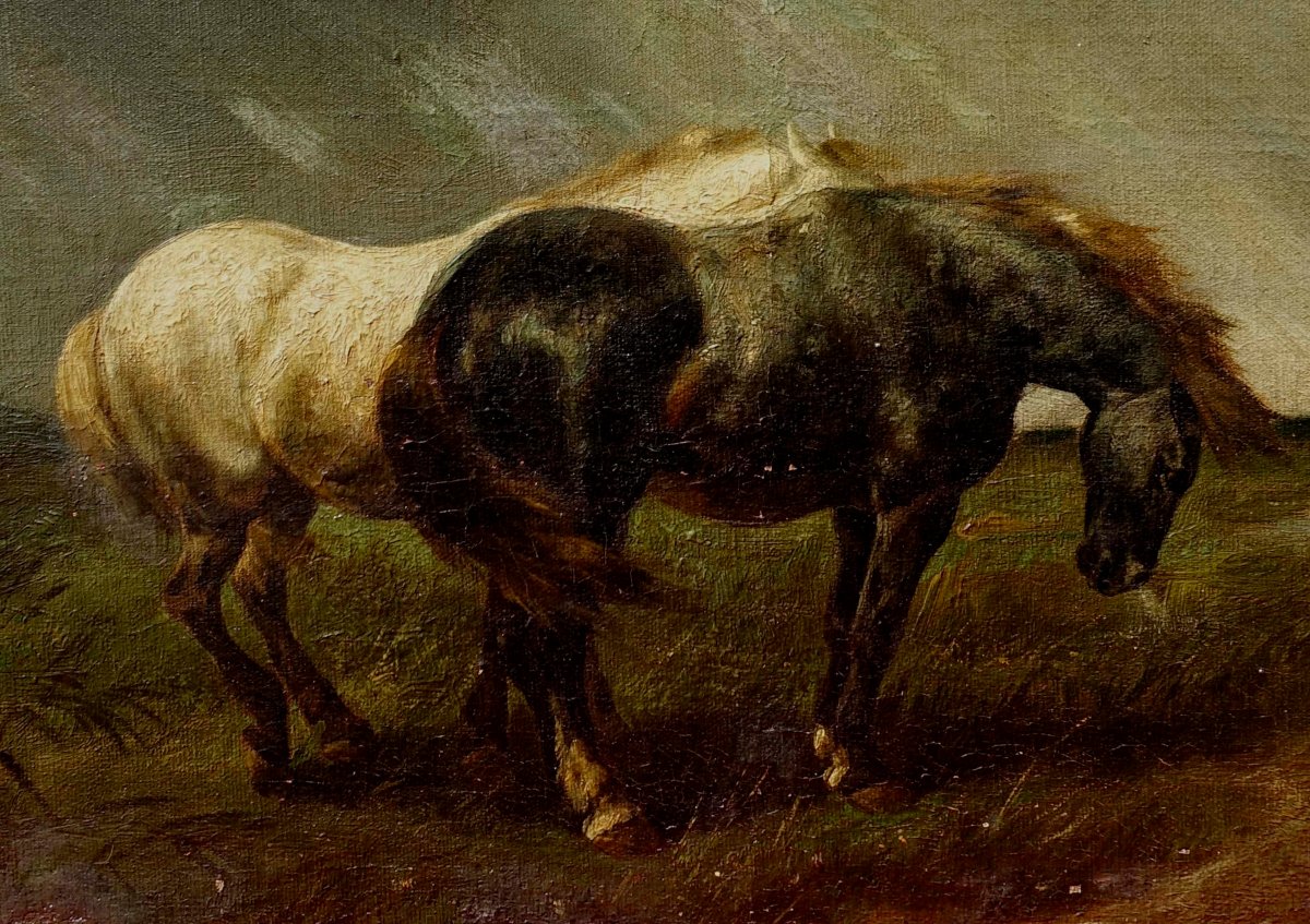 Gustave Colsoulle (1843–1895) - Horses In A Meadow, 1870 --photo-1