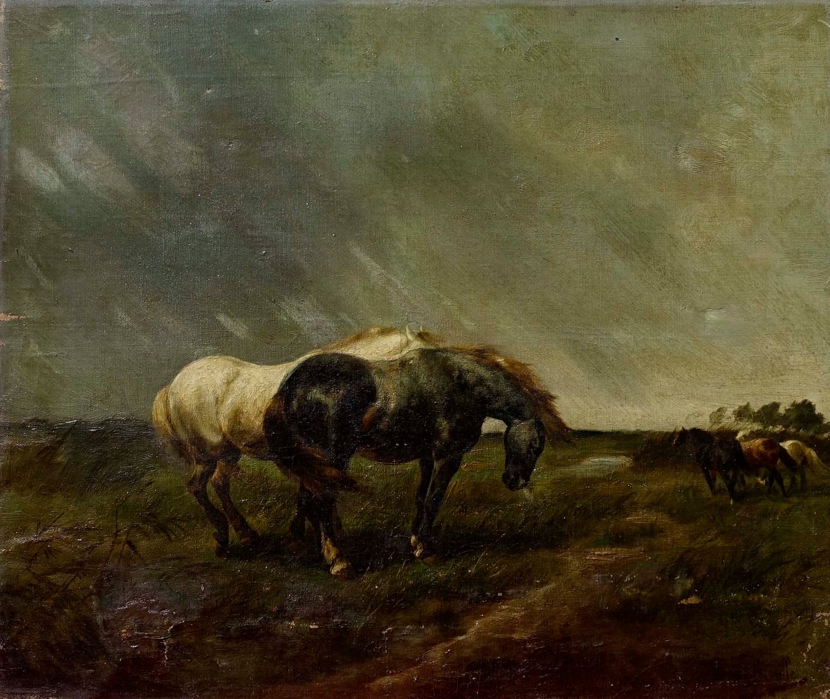 Gustave Colsoulle (1843–1895) - Horses In A Meadow, 1870 --photo-4