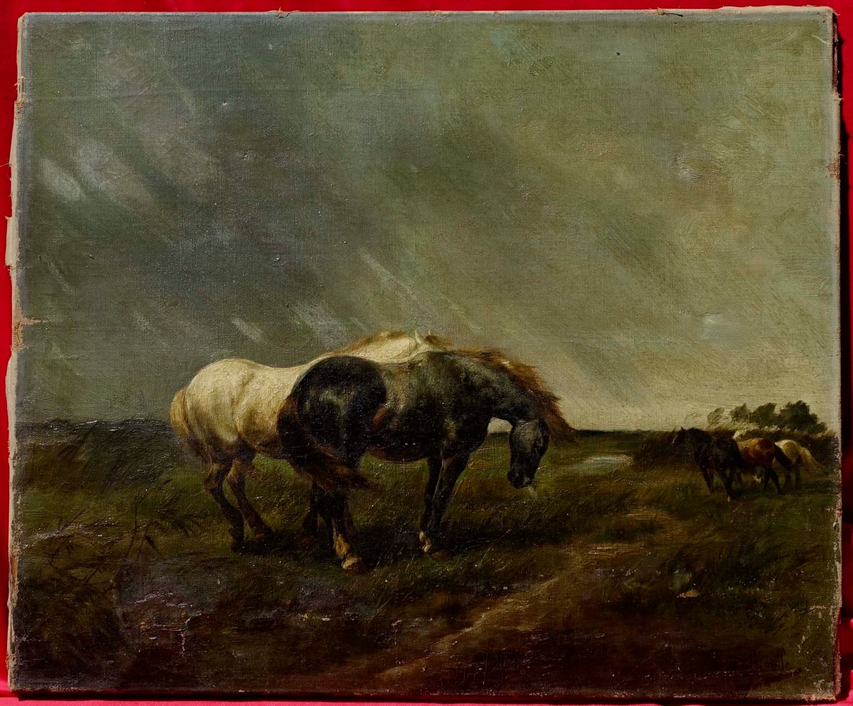 Gustave Colsoulle (1843–1895) - Horses In A Meadow, 1870 --photo-5