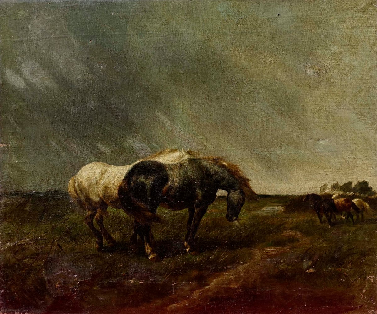 Gustave Colsoulle (1843–1895) - Horses In A Meadow, 1870 -