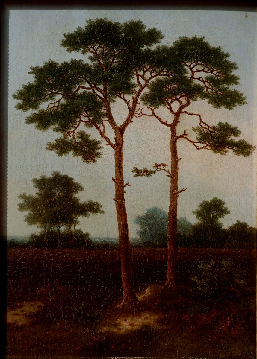 Pieter Hendrik Koekkoek (1843-1927) - Pins au Cr&eacute;puscule 1870 --photo-2