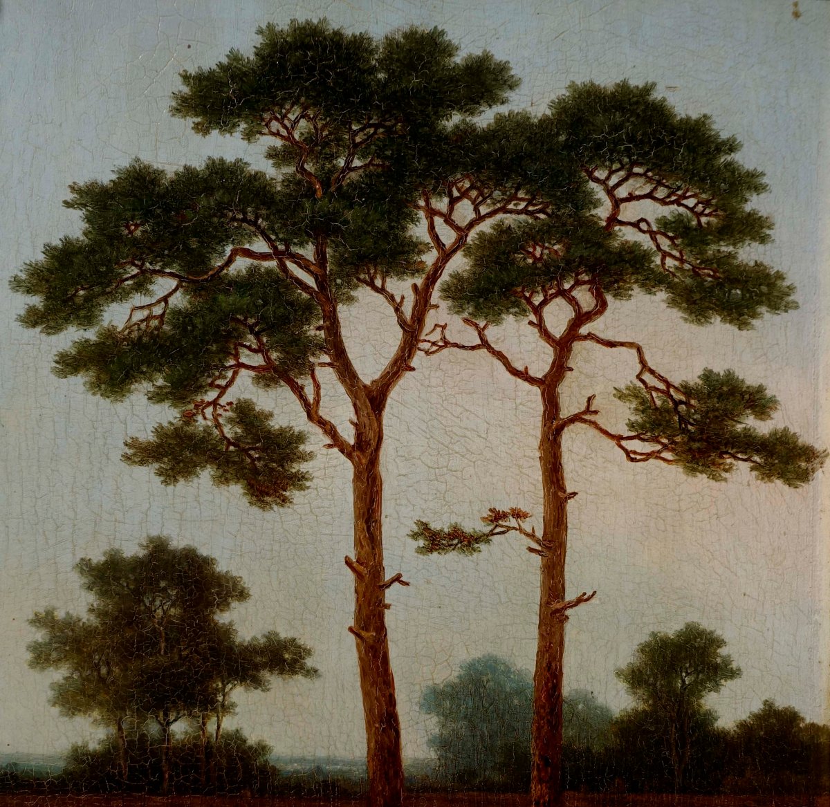Pieter Hendrik Koekkoek (1843-1927) - Pins au Cr&eacute;puscule 1870 --photo-3