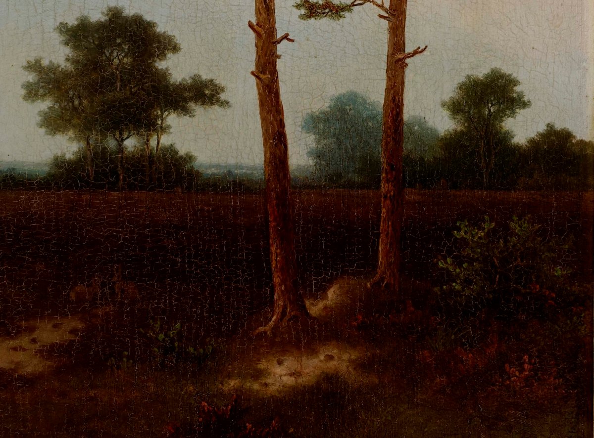 Pieter Hendrik Koekkoek (1843-1927) - Pins au Cr&eacute;puscule 1870 --photo-4