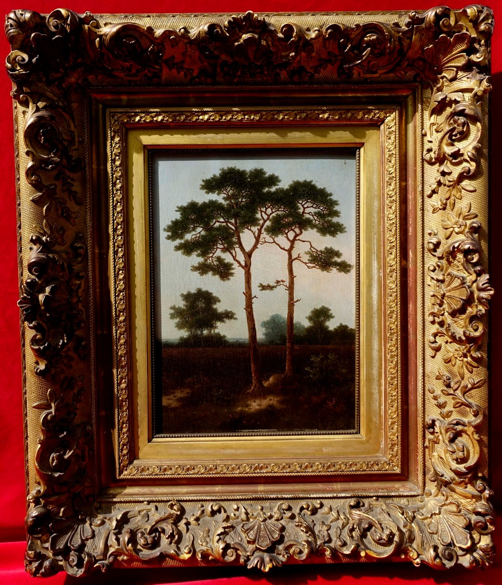 Pieter Hendrik Koekkoek (1843-1927) - Pins au Cr&eacute;puscule 1870 --photo-4