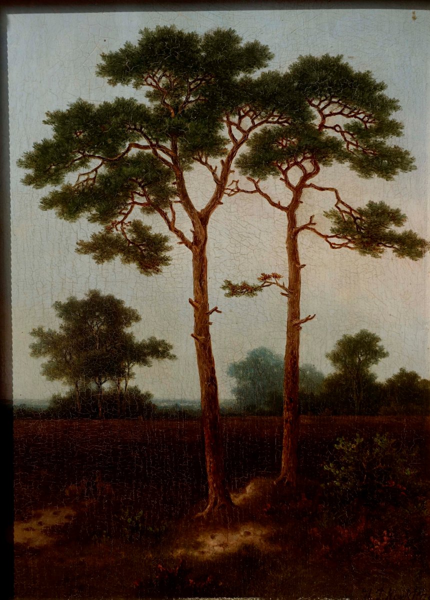 Pieter Hendrik Koekkoek (1843-1927) - Pins au Cr&eacute;puscule 1870 --photo-5