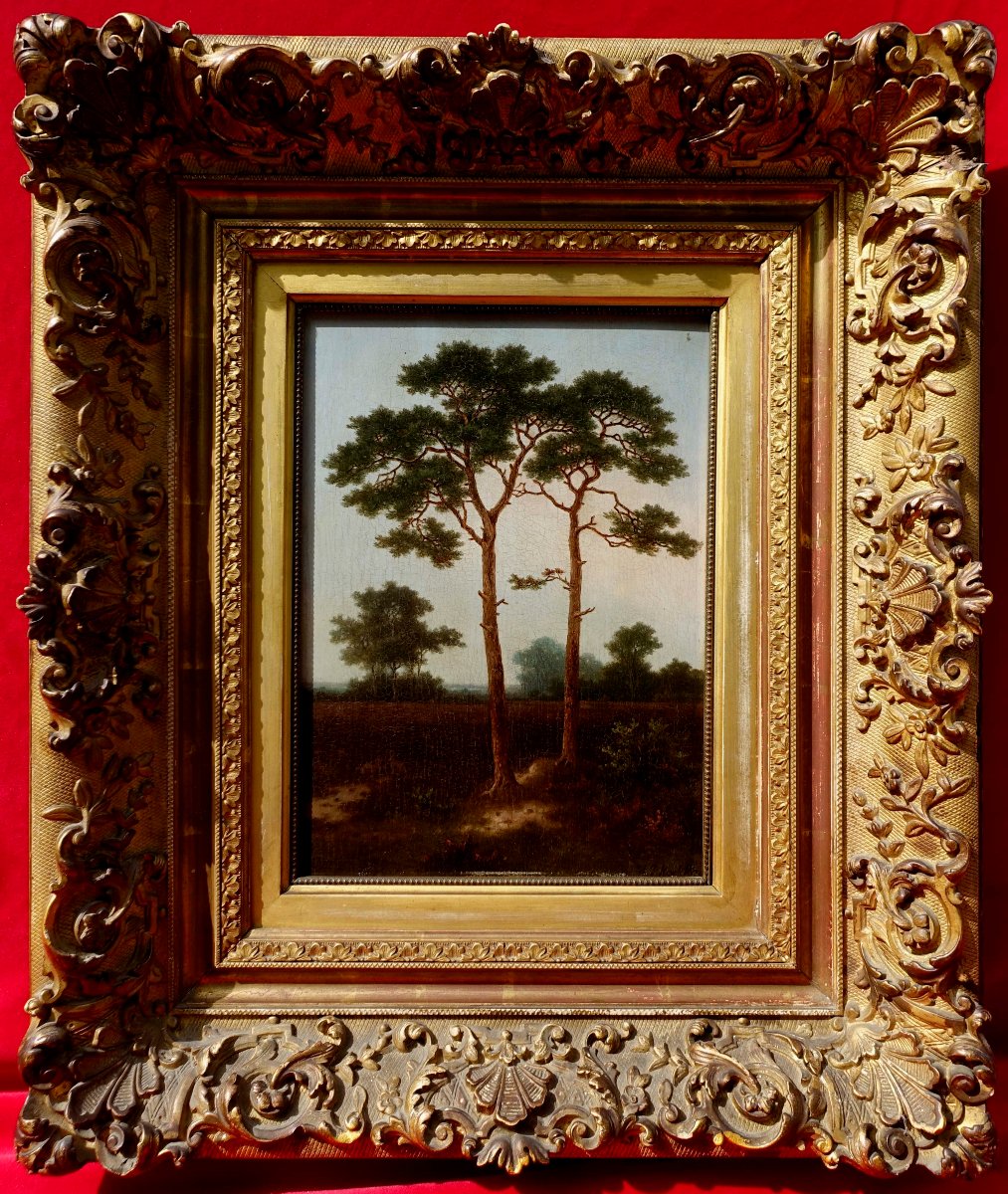 Pieter Hendrik Koekkoek (1843-1927) - Pins au Cr&eacute;puscule 1870 -