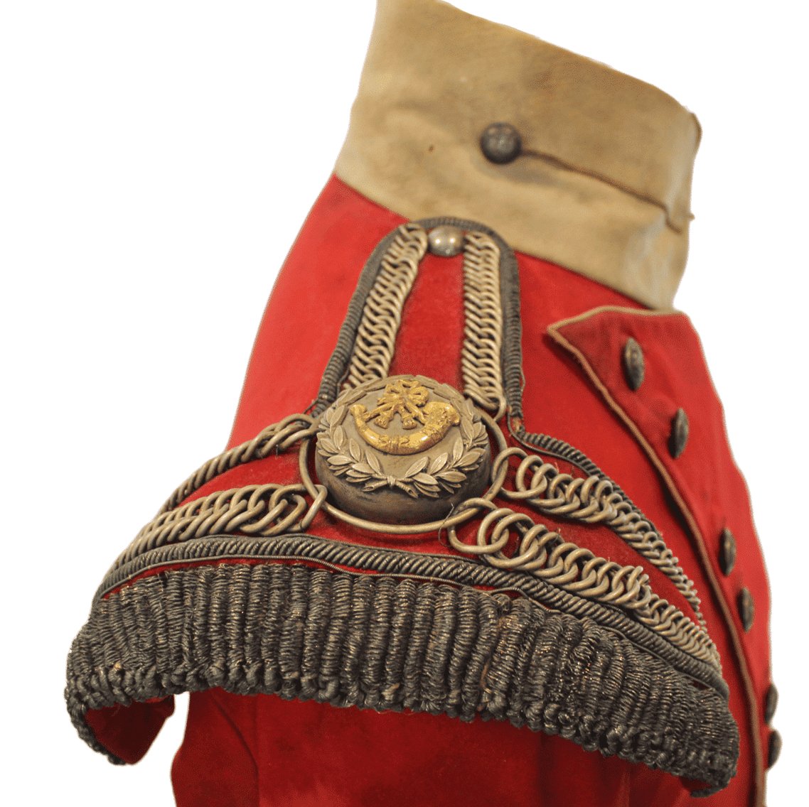Anglaise 52e régiment d'infanterie légère de l'Oxfordshire (à queue courte) -photo-3