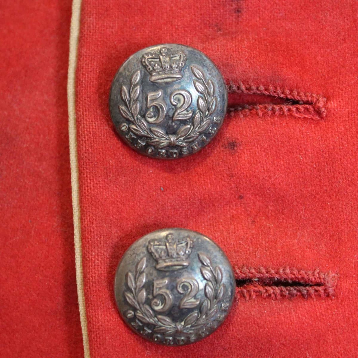Anglaise 52e régiment d'infanterie légère de l'Oxfordshire (à queue courte) -photo-1