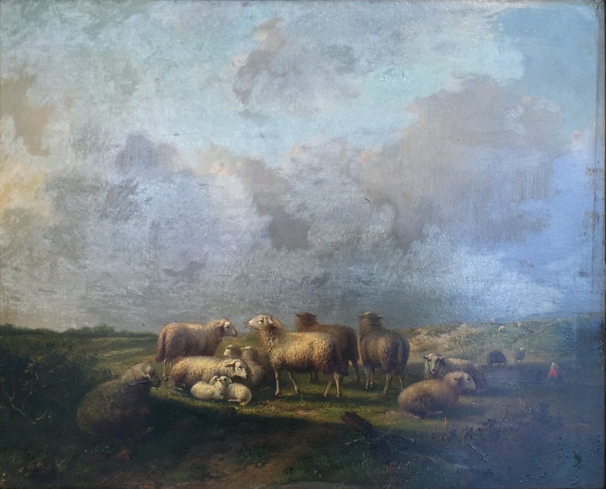 Auguste COOMANS (1855-1896) Moutons au pâturage, bergère et son chien au repos, Huile / panneau-photo-2