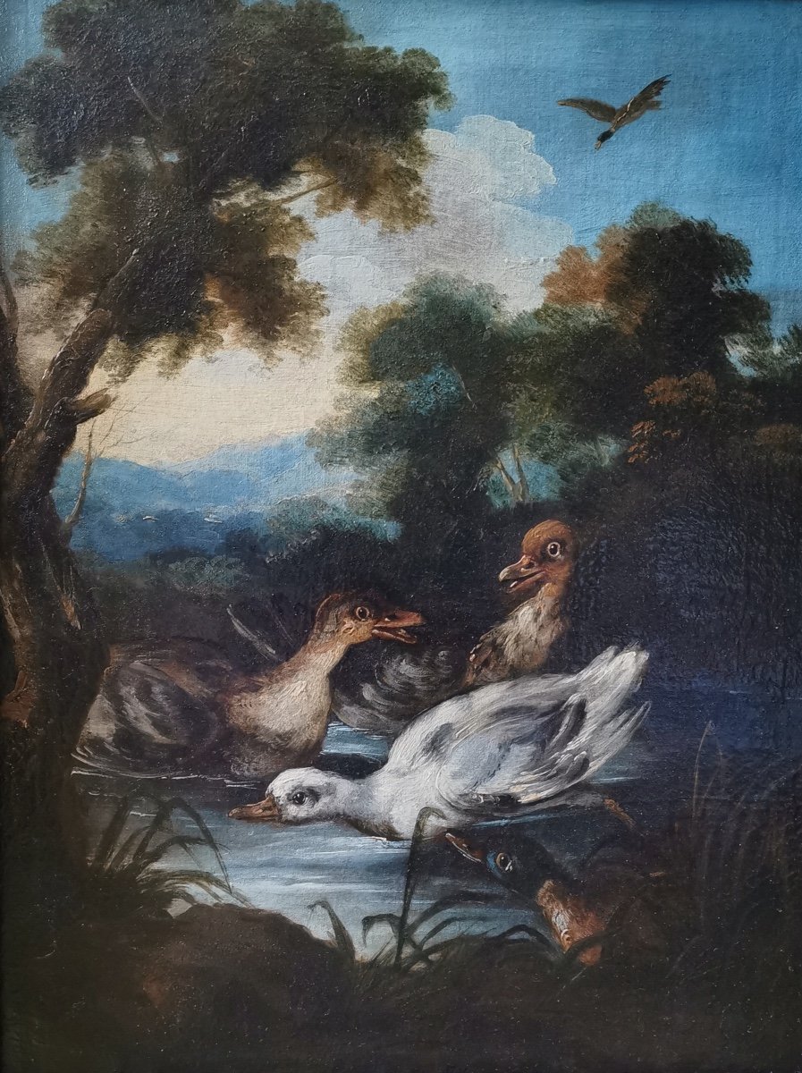 Angelo Maria Crivelli 1662-1730 Attr. à, Canards cygneau col vert sans un paysage de forêt