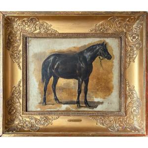 Théodore GÉRICAULT (attr.) Étude de cheval, robe noire à reflets bleus, de race persane, Huile