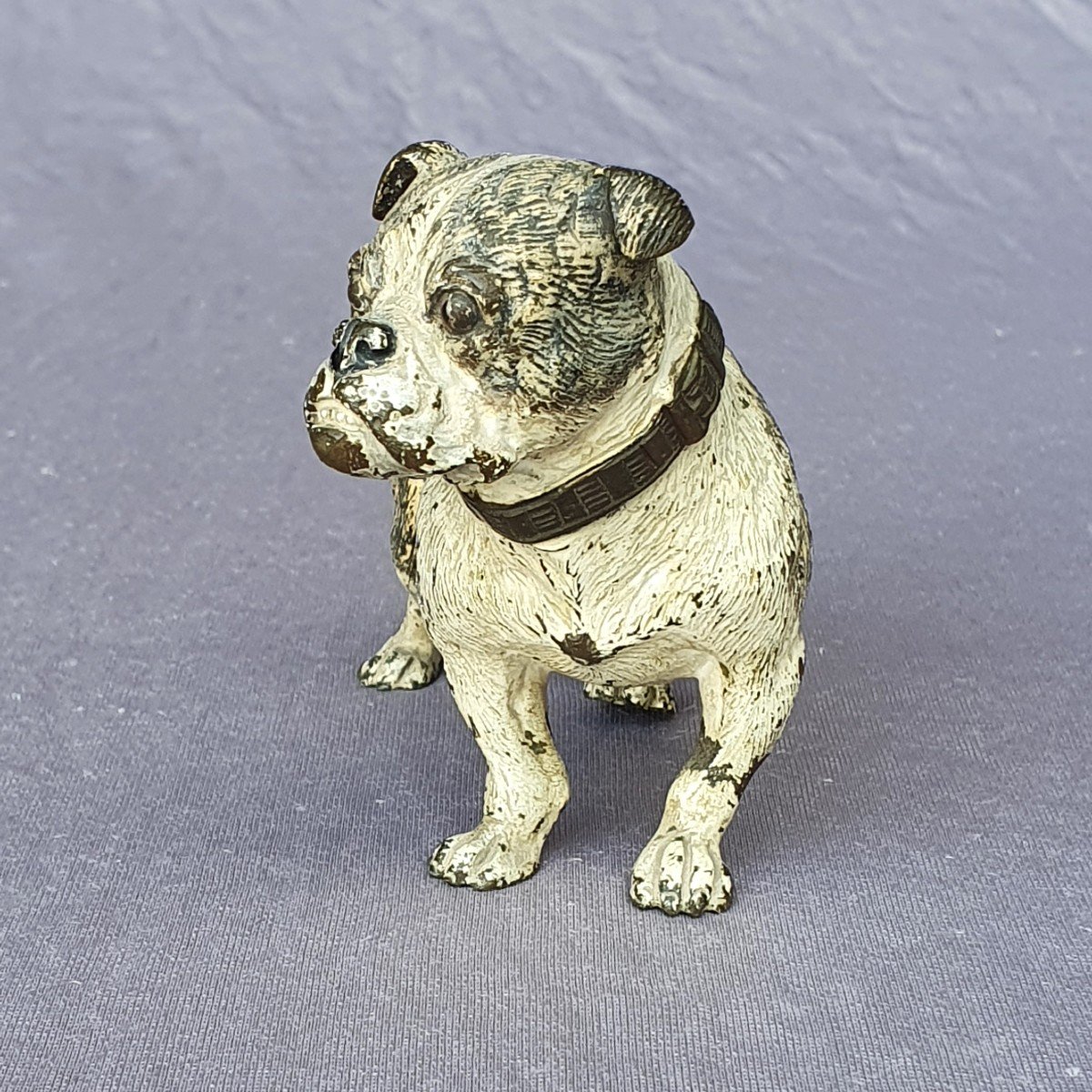 Bouledogue, Bulldog, bronze de Vienne-photo-2