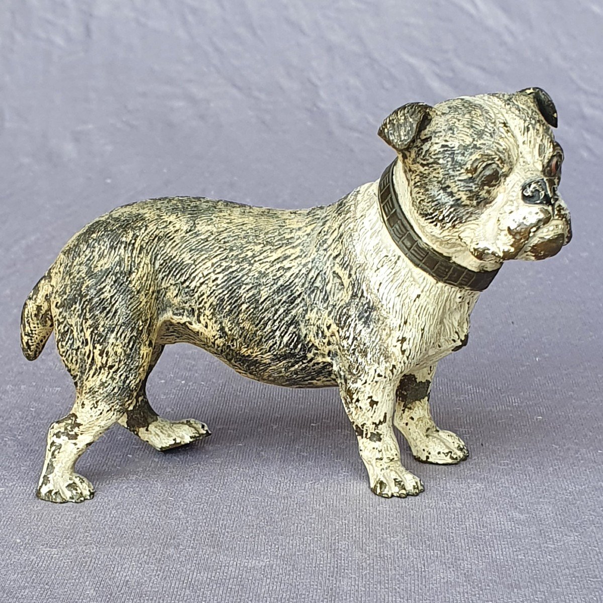 Bouledogue, Bulldog, bronze de Vienne-photo-1