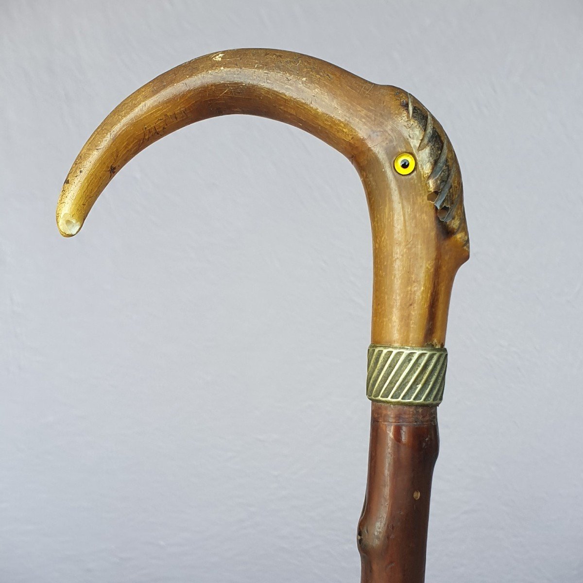 Cane With Bird's Head Knob In Horn With Glass Eyes, Late 19th Century-photo-2