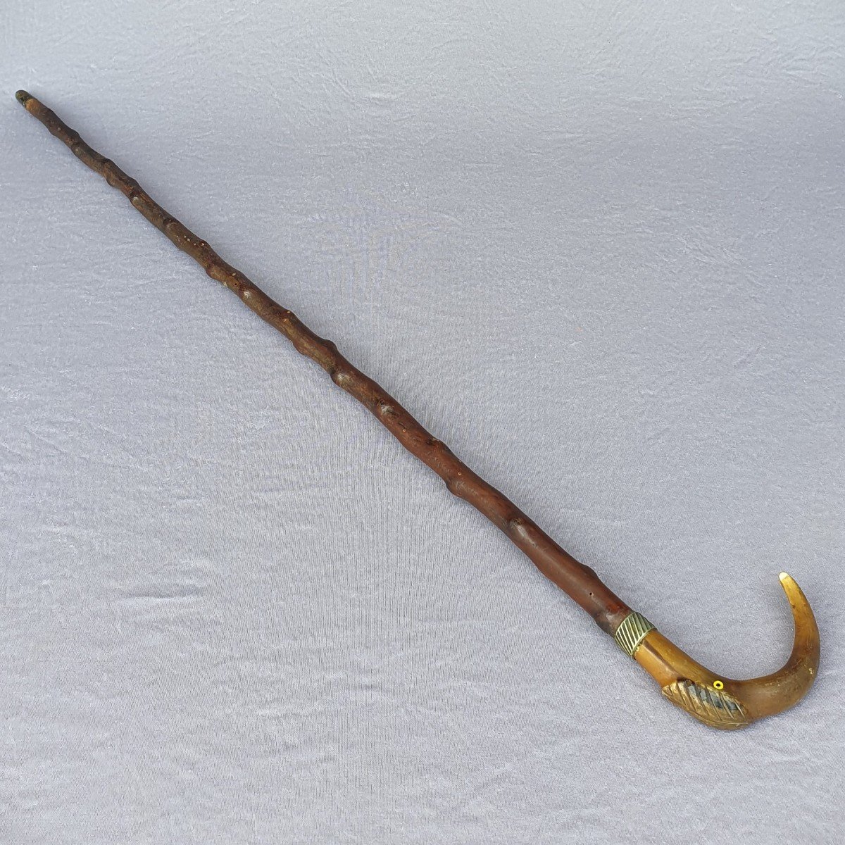 Cane With Bird's Head Knob In Horn With Glass Eyes, Late 19th Century-photo-3