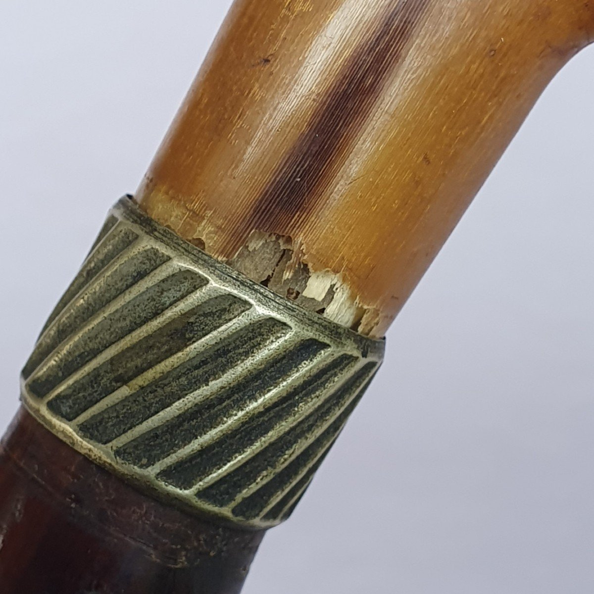 Cane With Bird's Head Knob In Horn With Glass Eyes, Late 19th Century-photo-1