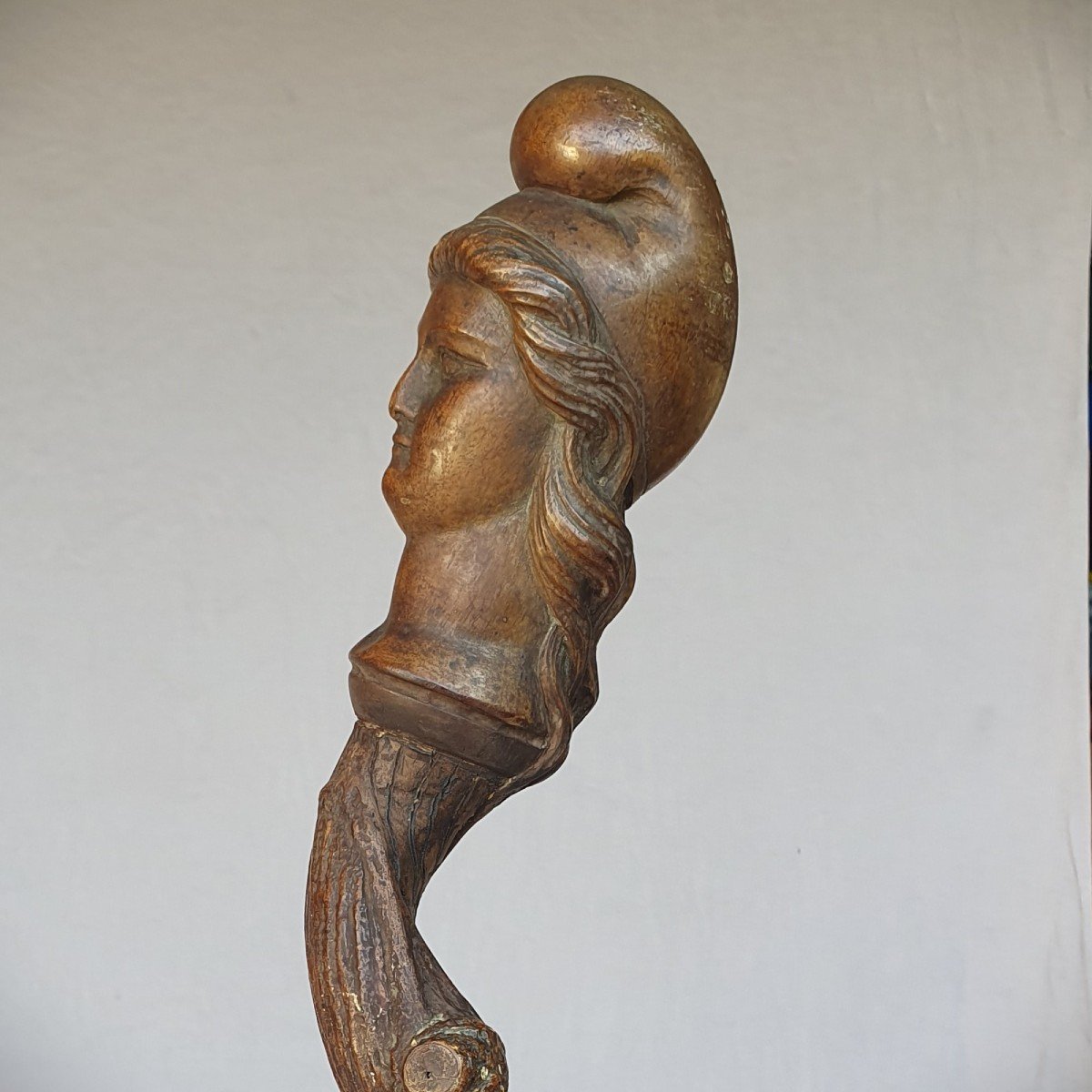 Republican Cane, Pommel Sculpted With A Head Of Marianne, Twisted Shaft-photo-1