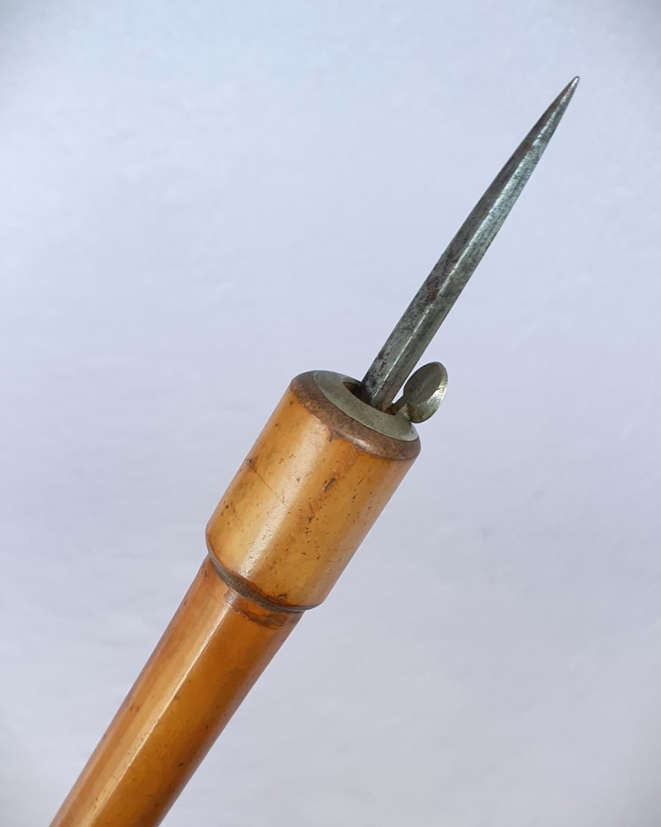 Canne Dard ou Styletto, canne de défense, fin du XIXe siècle-photo-2