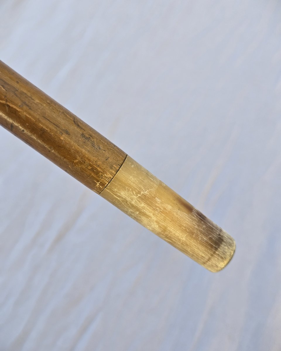 Antique  Walking Stick, Mazeppa's Torment-photo-1