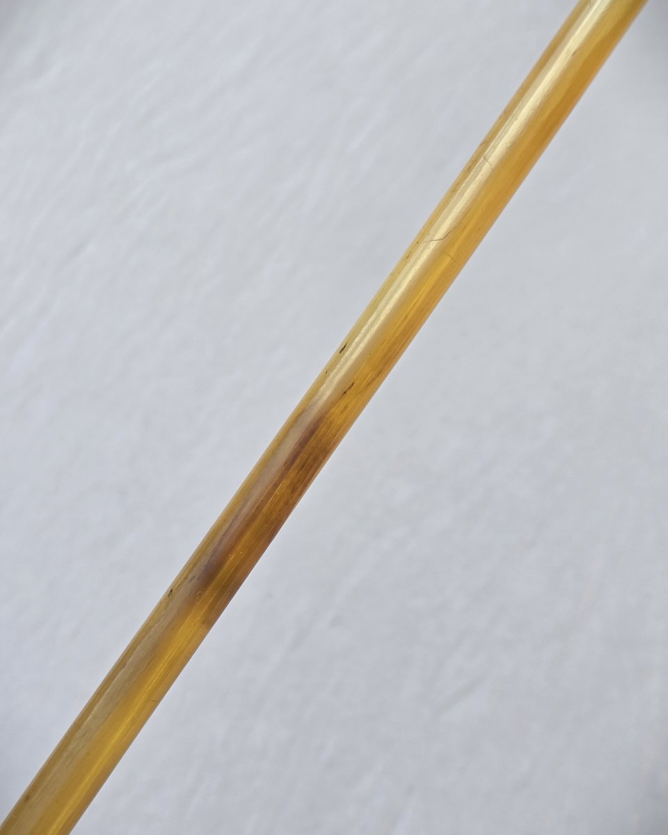 Antique Walking Stick, Shaft Entirely Made Of Horn, Agate Pommel-photo-4