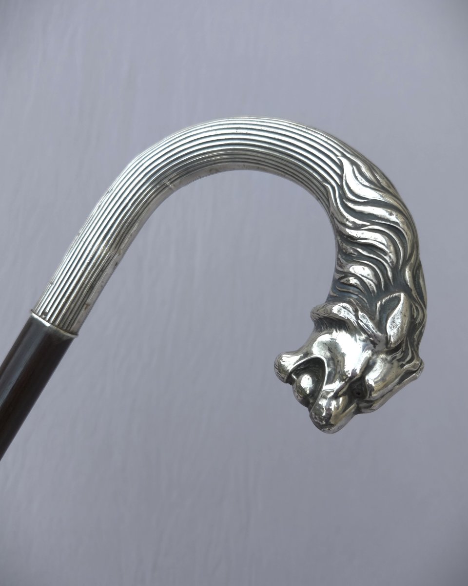 Walking Stick With A Silver-plated Metal Handle Depicting A Lion's Head-photo-2