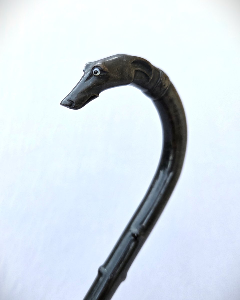 Canne en fanon de baleine, pommeau sculpté tête de chien lévrier, 19e siècle-photo-2