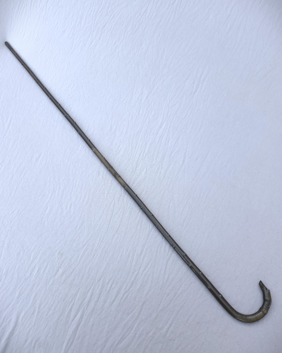 Canne en fanon de baleine, pommeau sculpté tête de chien lévrier, 19e siècle-photo-1