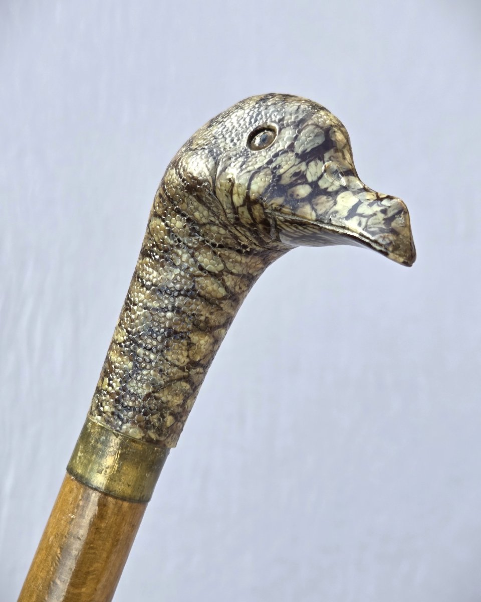 Antique Walking Stick, Imitation Shagreen Duck Head Pommel-photo-4