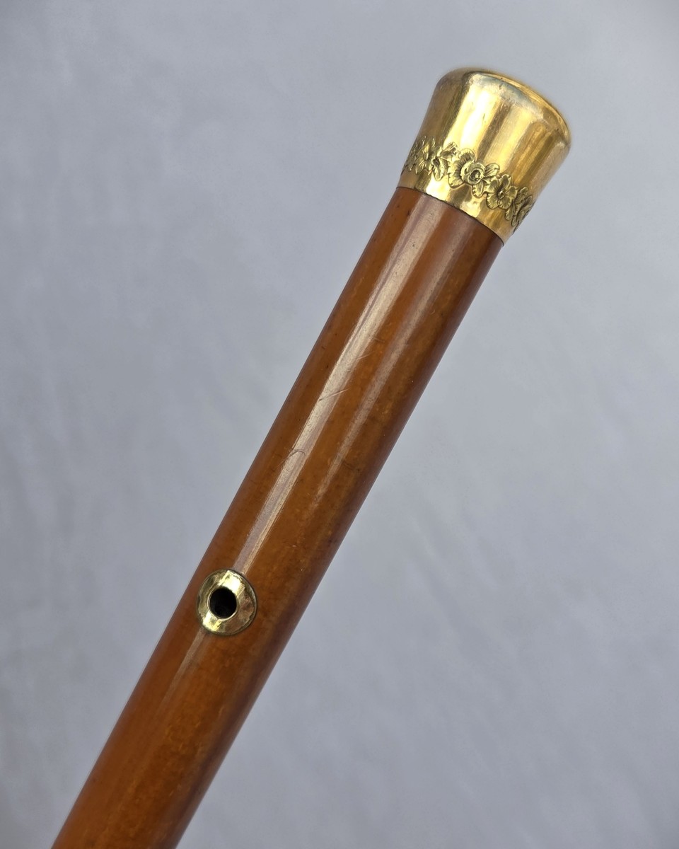 Antique Fine Dandy's Walking Stick, With A Gold Knob And Eyelets.