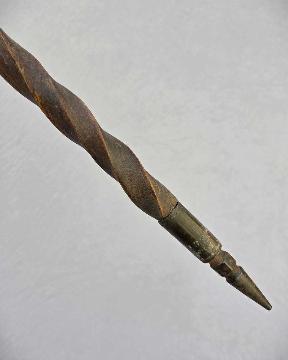 Curiosité, canne ancienne au pommeau en dent de phacochère sculptée et fût en nerf de bœuf-photo-1